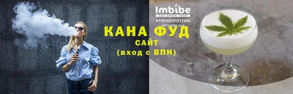 apvp Инсар